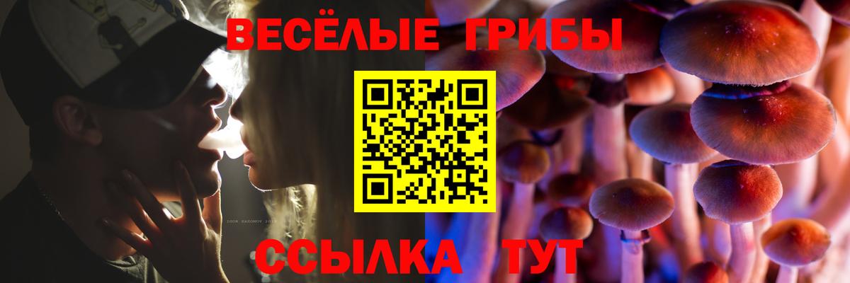 Тула  Галлюциногенные грибы мухоморы  Вход с VPN 